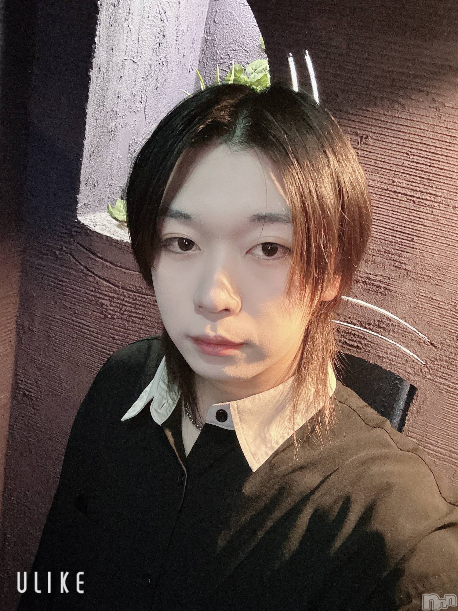 ĮۥȡܡСA151(ݥ) 2025ǯ1115̥֥֤̲