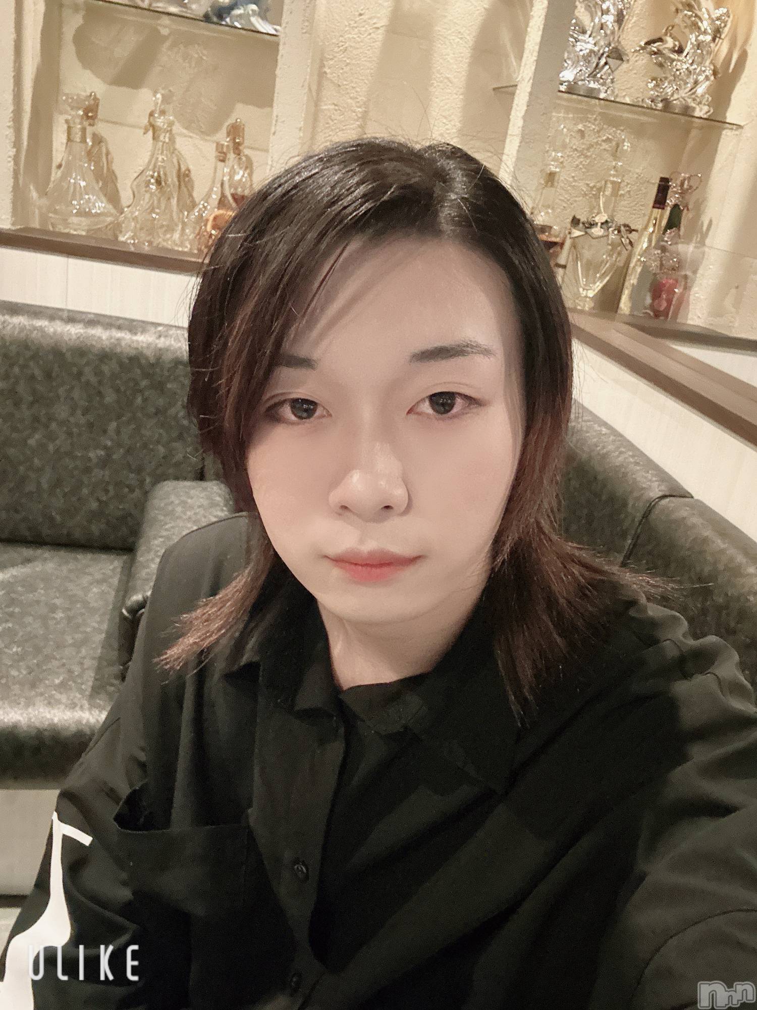 ĮۥȡܡСA151(ݥ) 2025ǯ1210̥֥֤Ǥ̣