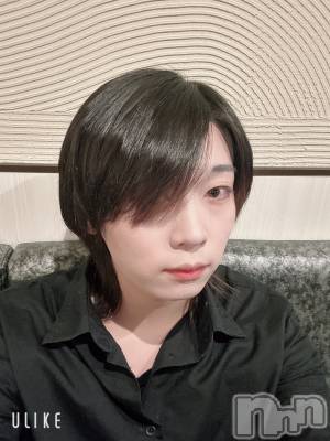 ĮۥȡܡСA151(ݥ) ߺ(20)1029̥֥֥ϥ󤬤