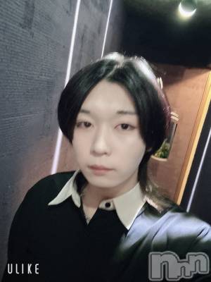 ĮۥȡܡСA151(ݥ) ߺ(20)1030ֺ̥֥⤬Фޤ