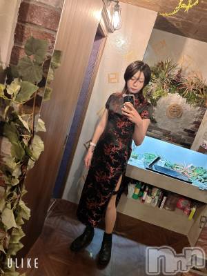 ĮۥȡܡСA151(ݥ) ߺ(20)1031̥֥֥ȥåȥ꡼ȡ