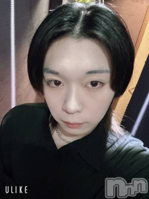 ĮۥȡܡСA151(ݥ) ߺ(20)116ֺ̥֥ǶᤴӤ̣ƤФ