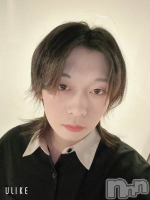 ĮۥȡܡСA151(ݥ) ߺ(20)117ֿ̥֥ߤν