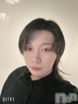 ĮۥȡܡСA151(ݥ) ߺ(20)118̥֥֤줫鱫³Ȥ