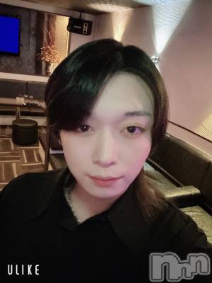 ĮۥȡܡСA151(ݥ) ߺ(20)1123̥֥100Ѥ硼