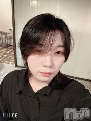 ĮۥȡܡСA151(ݥ) ߺ(20)1128̥֥֤⤦