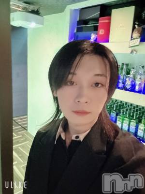 ĮۥȡܡСA151(ݥ) ߺ(20)1129̥֥Ǥ