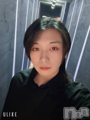 ĮۥȡܡСA151(ݥ) ߺ(20)124̥֥12Фޤ