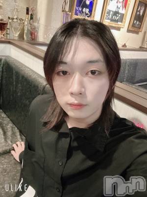 ĮۥȡܡСA151(ݥ) ߺ(20)128̥֥֥ϥåԥСǡ礦