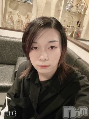 ĮۥȡܡСA151(ݥ) ߺ(20)1210̥֥֤Ǥ̣