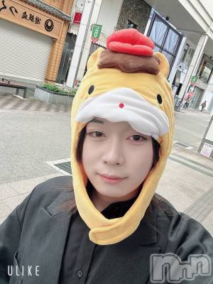 ĮۥȡܡСA151(ݥ) ߺ(20)1212ַ̥֥ϸ̱θؤ