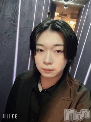 ��Į�ۥ��ȡ��ܡ������С�A151(�����������ݥ���) ������ߺ(20)��1��10���̥�֥����ֻפä���괨���ʤ���