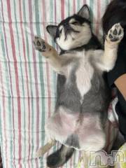 長岡デリヘルROOKIE(ルーキー) もこ(21)の2月25日写メブログ「北海道のお兄さん❄️」