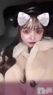 ❤️なかよしさん昨日ぶり❤️