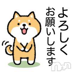 新潟デリヘル奥様特急 新潟店(オクサマトッキュウニイガタテン)みなみ(20)の2025年1月6日写メブログ「明日出勤します‪(  . .)