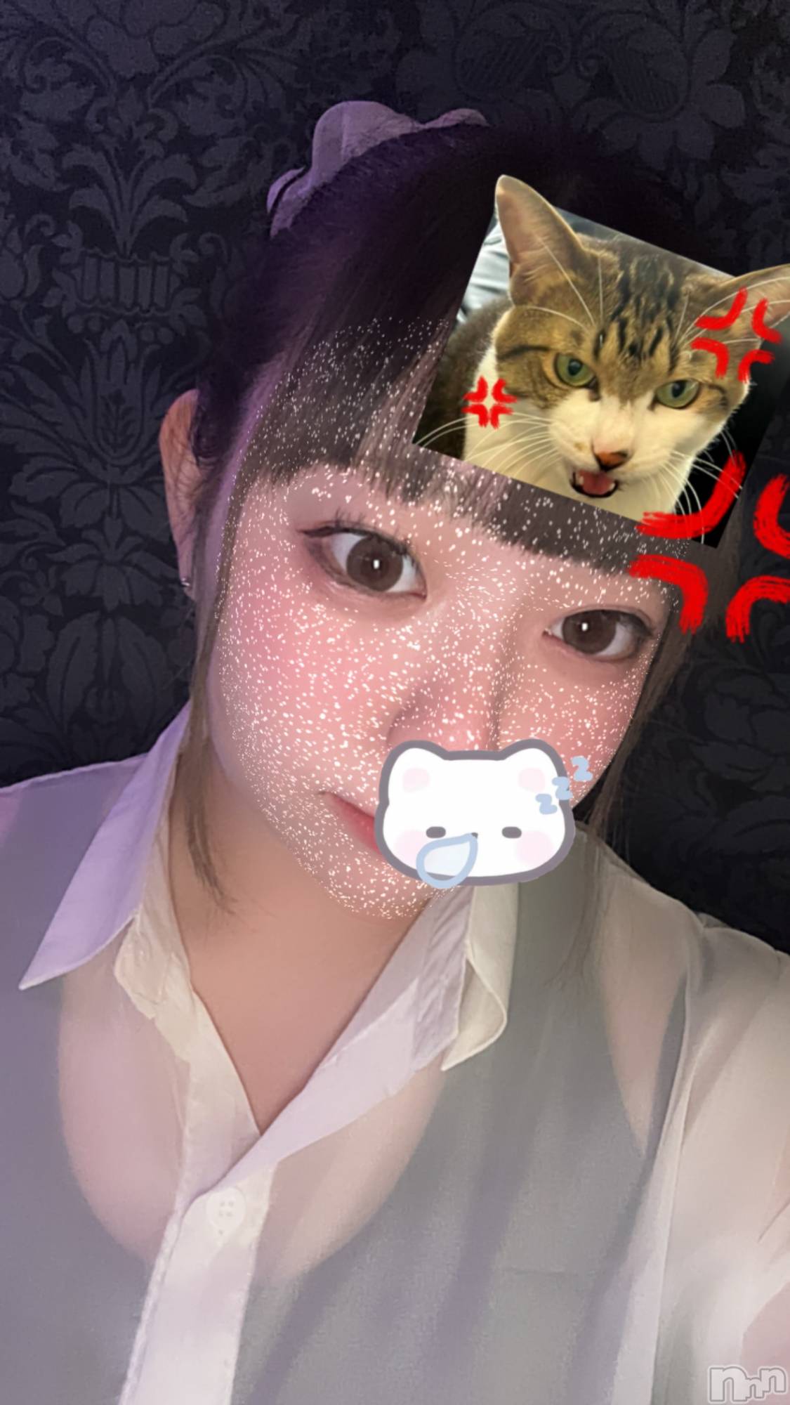 Įʥå륺С&饪BAR  L  STYLE(С륹) 2024ǯ1212̥֥ä衼‼️