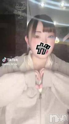 210 2022ʬư