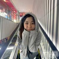 (21) Ĺ158cmĮʥå륺С &饪BAR  L  STYLE(С륹)ҡ