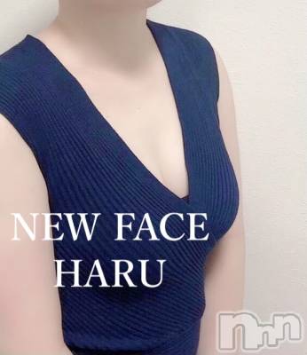 ハル(25) 身長164cm、スリーサイズB().W.H。新潟メンズエステ 妻色兼美 新潟中央店   (サイショクケンビ　ニイガタチュウオウテン)在籍。