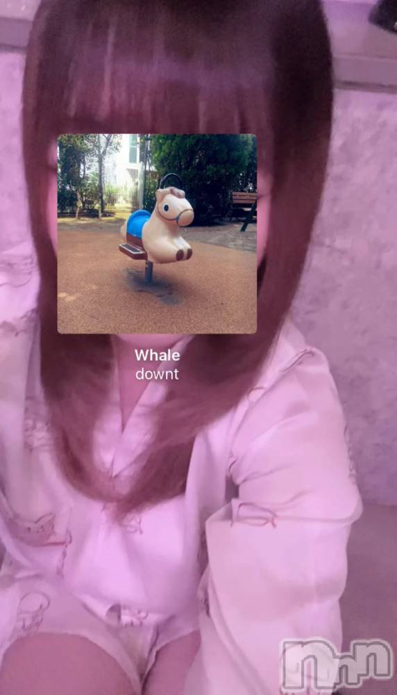 ʥå륺СGirls Bar Philia(륺Сեꥢ) ʤ629̥֥Whale / downt