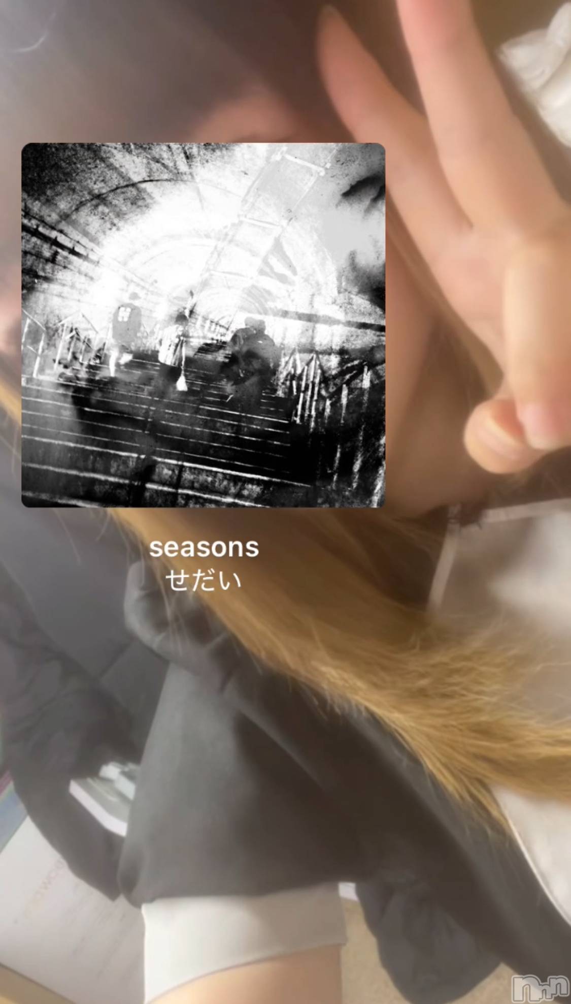 ʥå륺СGirls Bar Philia(륺Сեꥢ) 2025ǯ820̥֥seasons / 