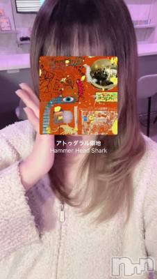 ʥå륺СGirls Bar Philia(륺Сեꥢ) ʤ616̥֥֥ȥ / Hammer Head Shark