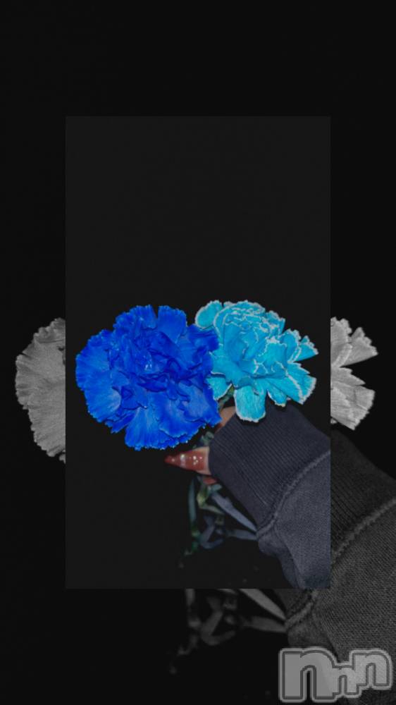 ʥå륺С󥻥ץȥե̴Ѷ~̤⤷ʤ¤~(󥻥ץȥեߥϥ祦) ʤ1016̥֥💙🩵