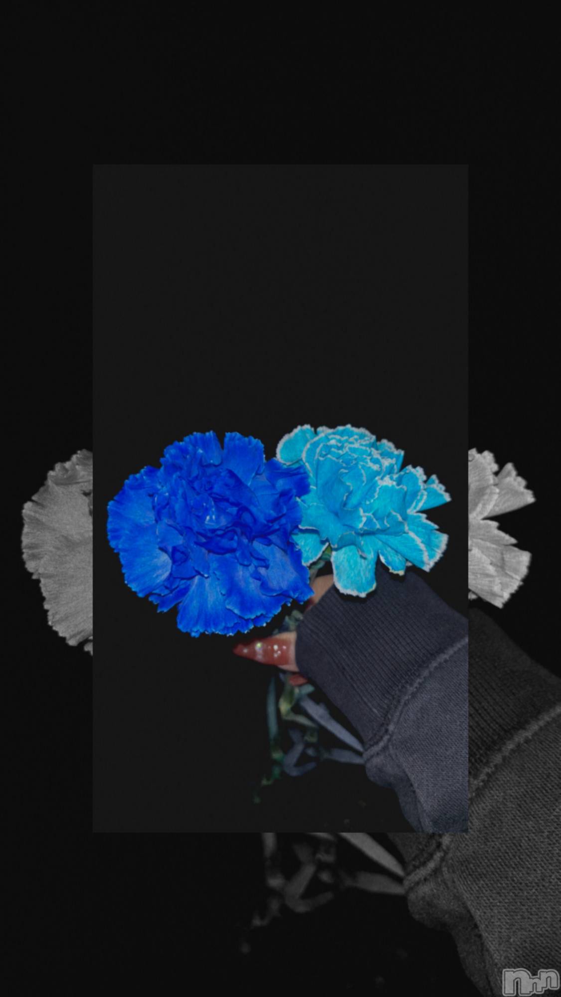 ʥå륺С󥻥ץȥե̴Ѷ~̤⤷ʤ¤~(󥻥ץȥեߥϥ祦) 2025ǯ1016̥֥💙🩵