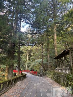 新潟駅前スナック・ガールズバーコンセプトカフェ 夢見る廃教会~明日死ぬかもしれないぢゃん~(コンセプトカフェユメミルハイキョウカイ) ゆなの10月28日写メブログ「💚」