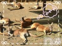 良いなぁ…🦘💓