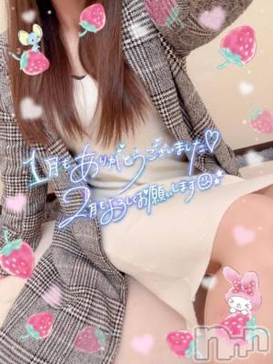 どの季節が好き？🌸