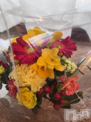 長岡デリヘル 奥様特急 長岡店(オクサマトッキュウナガオカテン) いのり(26)の11月3日写メブログ「本当に申し訳ございません」