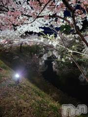 上越デリヘルHONEY(ハニー) りおん(♪)(26)の4月14日写メブログ「お花見♡」