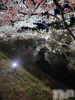 上越デリヘル HONEY(ハニー) りおん(♪)(26)の4月14日写メブログ「お花見♡」