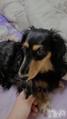 上越デリヘル HONEY(ハニー) りおん(♪)(26)の9月14日写メブログ「癒し♡」