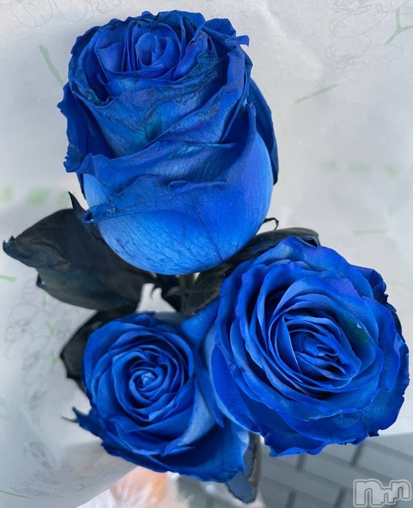 Ʋʥå륺СMuscat`s(ޥå) 44ֶ̥֥Τ➰💙.·✧
