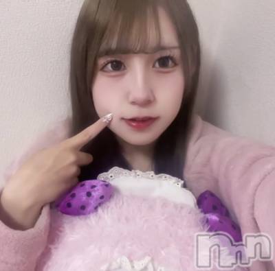 (ҥߥ) Ĺ148cmĮʥå륺С ץBarʥ(ץСʥ)ҡ