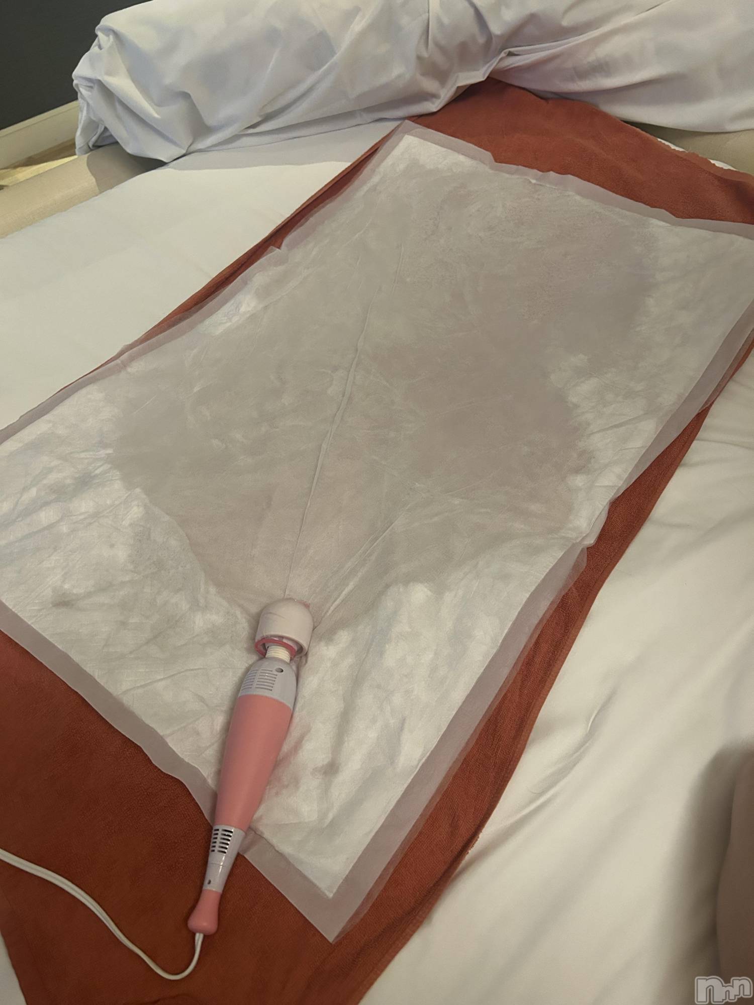 新潟デリヘルCrest(クレスト)せいか(23)の2026年3月21日写メブログ「本人不在🐋🩵」