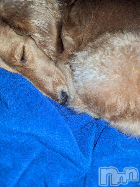 諏訪デリヘルThree＆Men’s Spa(スリー＆メンズスパ)れんツー(38)の2025年1月6日写メブログ「お礼！」