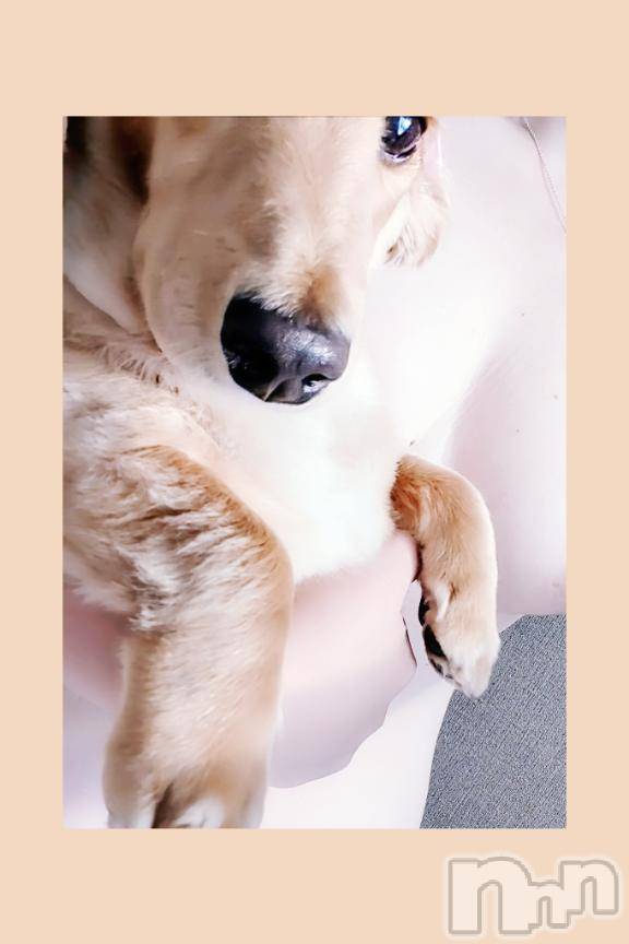 諏訪デリヘルThree＆Men’s Spa(スリー＆メンズスパ)れんツー(38)の2025年1月8日写メブログ「一昨年＆昨日！」