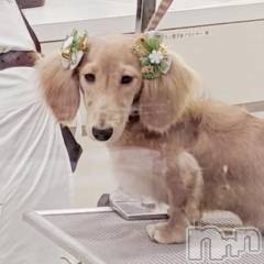 諏訪デリヘルThree＆Men’s Spa(スリー＆メンズスパ) れんツー(38)の1月10日写メブログ「ありがとう！」