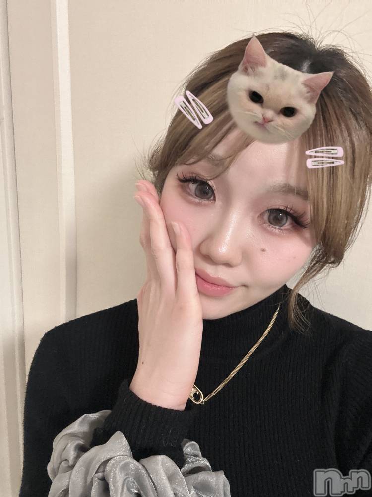 ܱХ顦() ꤳ331̥֥331 2035ʬΥ֥