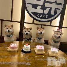 新潟デリヘル奥様特急 新潟店(オクサマトッキュウニイガタテン)ましろ(23)の2025年1月16日写メブログ「おはよ♥️🥺」