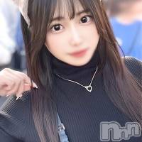 至極きょう