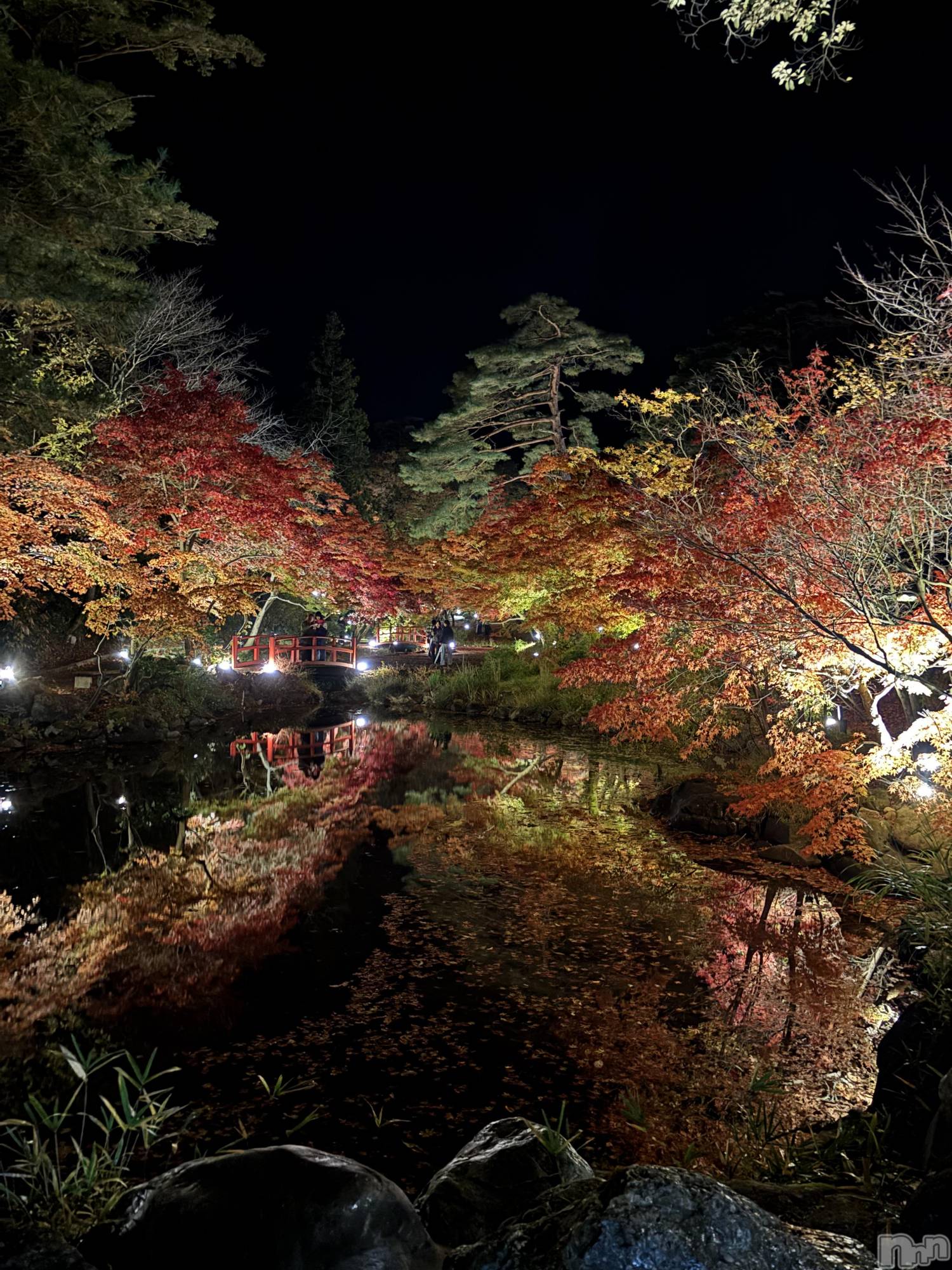 ĮХ顦CLUB GRAND(֥) 2025ǯ1119ֽ̥֥ϡ