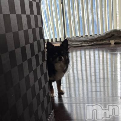 ĮХ顦CLUB GRAND(֥) (22)79̥֥֤襤Ρ