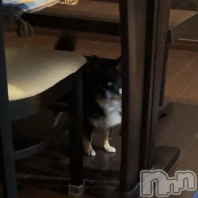 ĮХ顦CLUB GRAND(֥) (22)1022̥֥֤դա