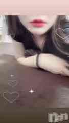 㡦ȯĥꥢ󥺥 ޤơ(ޥƥåȥ˥) ܡҤޤ620ưʡ