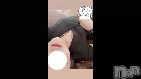 ֥ϥ磻