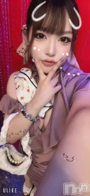 ĮХ顦Lounge R Style(饦󥸥륹) Ҥʤ624̥֥֥٥ȡ